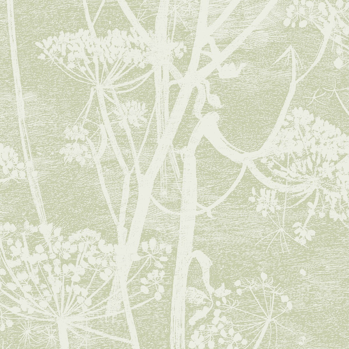 COLE & SON COW PARSLEY OLIVE