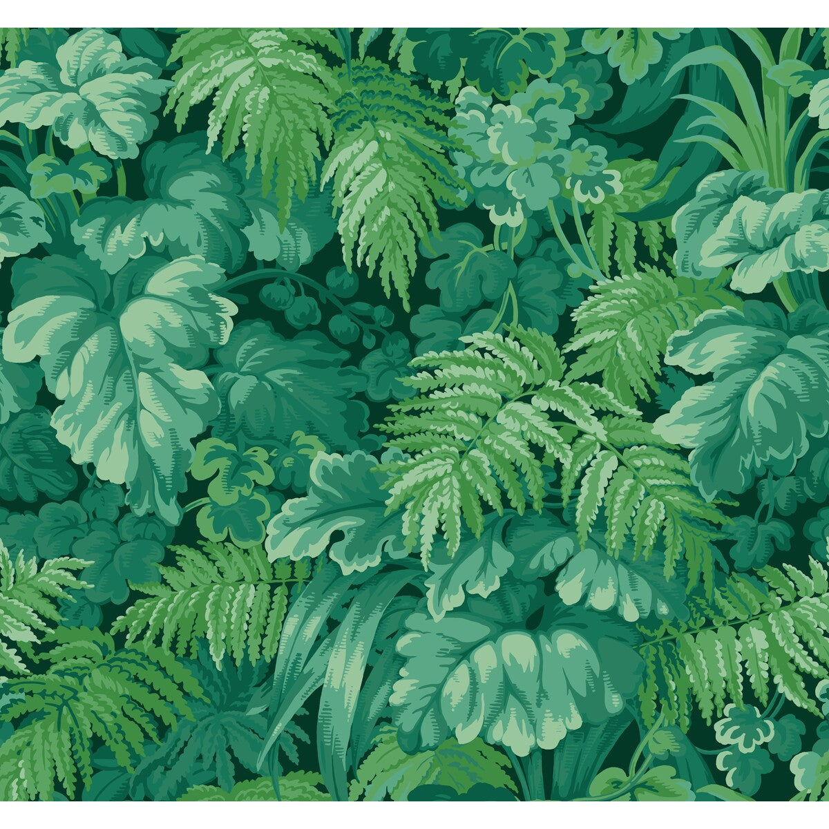 COLE & SON ROYAL FERNERY FOREST GREEN