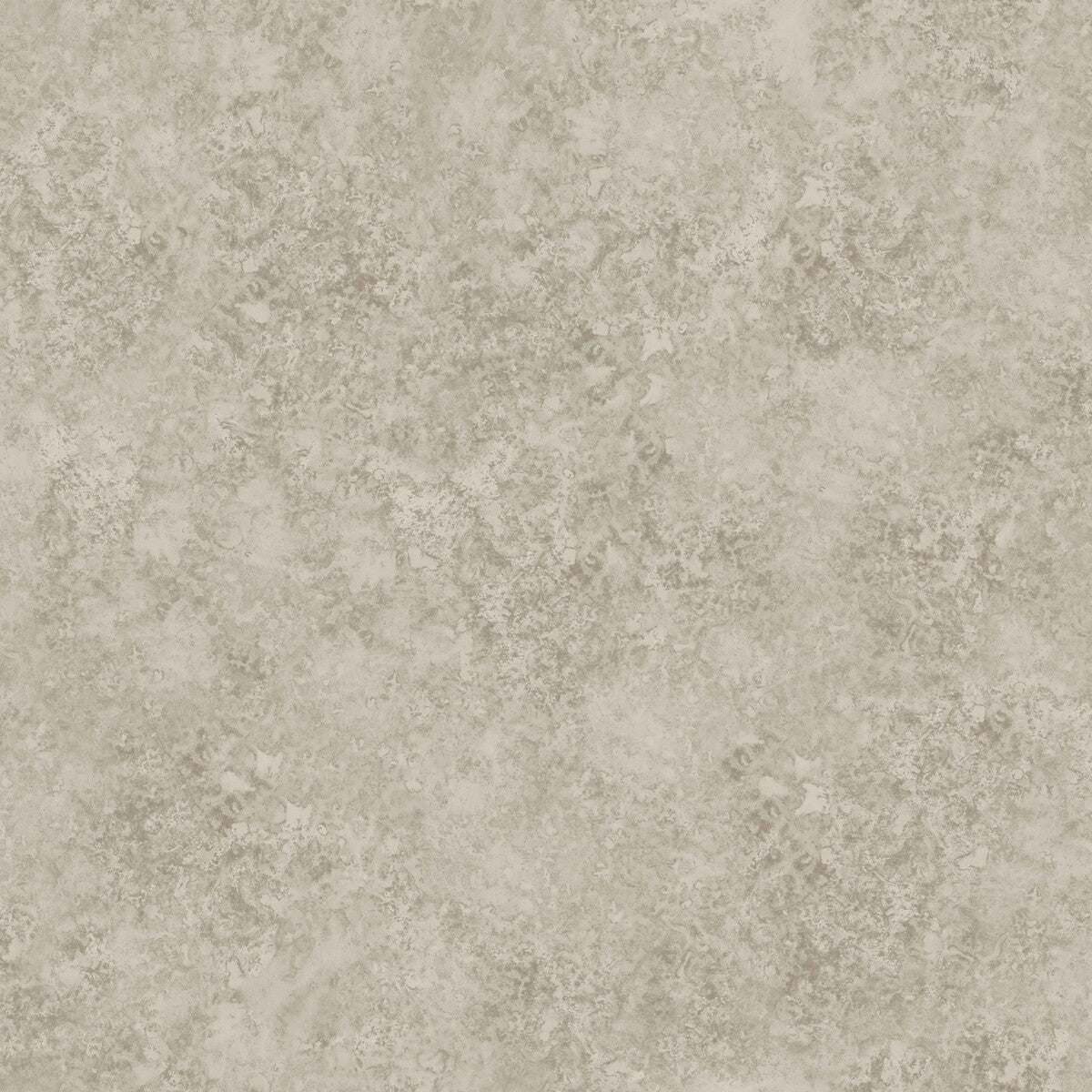 COLE & SON PATINA HAZE WARM GILVER