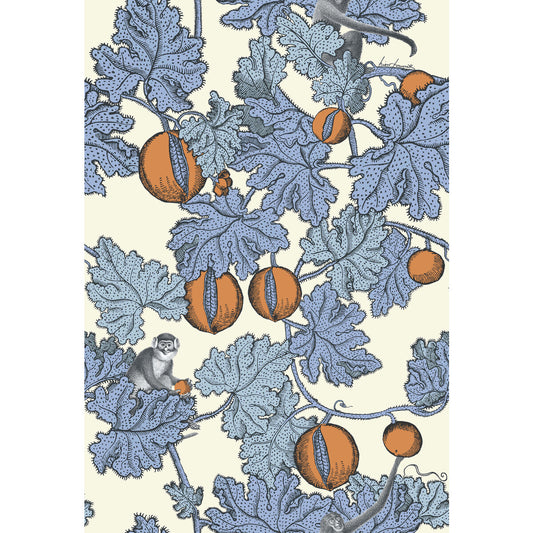 COLE & SON FRUTTO PROIBITO HYACINTH & ORANGE