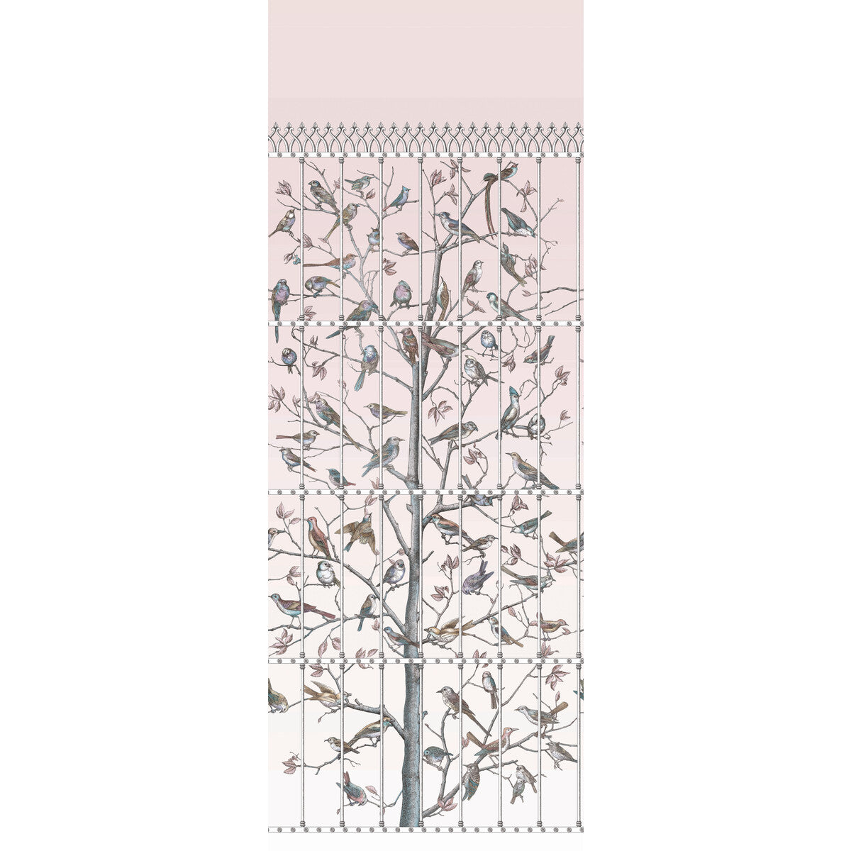 COLE & SON UCCELLI BALLET SLIPPER