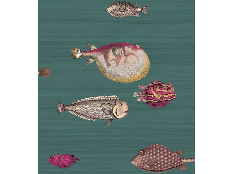 Cole & Son WP: Fornasetti Acquario 114/12024.CS.0 Viridian