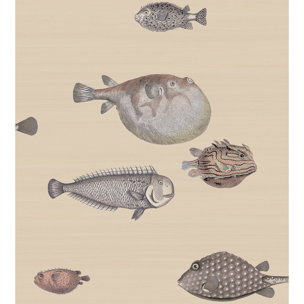 COLE & SON ACQUARIO TAUPE
