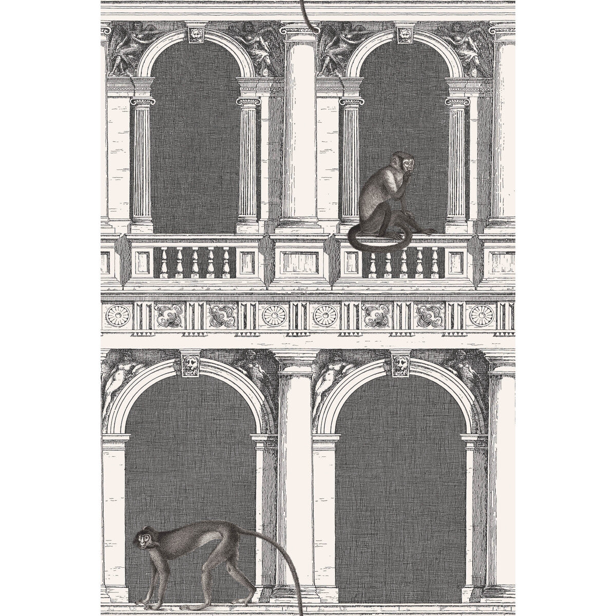 COLE & SON PROCURATIE E SCIMMIE B/W