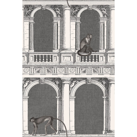 COLE & SON PROCURATIE E SCIMMIE B/W