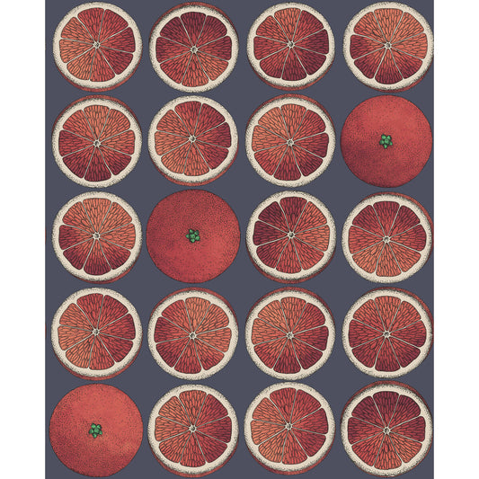 COLE & SON ARANCE BLOOD ORANGE/INK