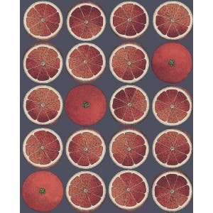 Cole & Son WP: Fornasetti Arance 114/24046.CS.0 Blood Orange/Ink