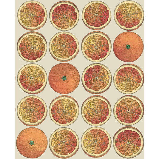 COLE & SON ARANCE ORANGE/CREAM