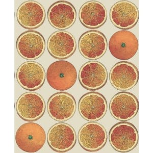 Cole & Son WP: Fornasetti Arance 114/24047.CS.0 Orange/Cream