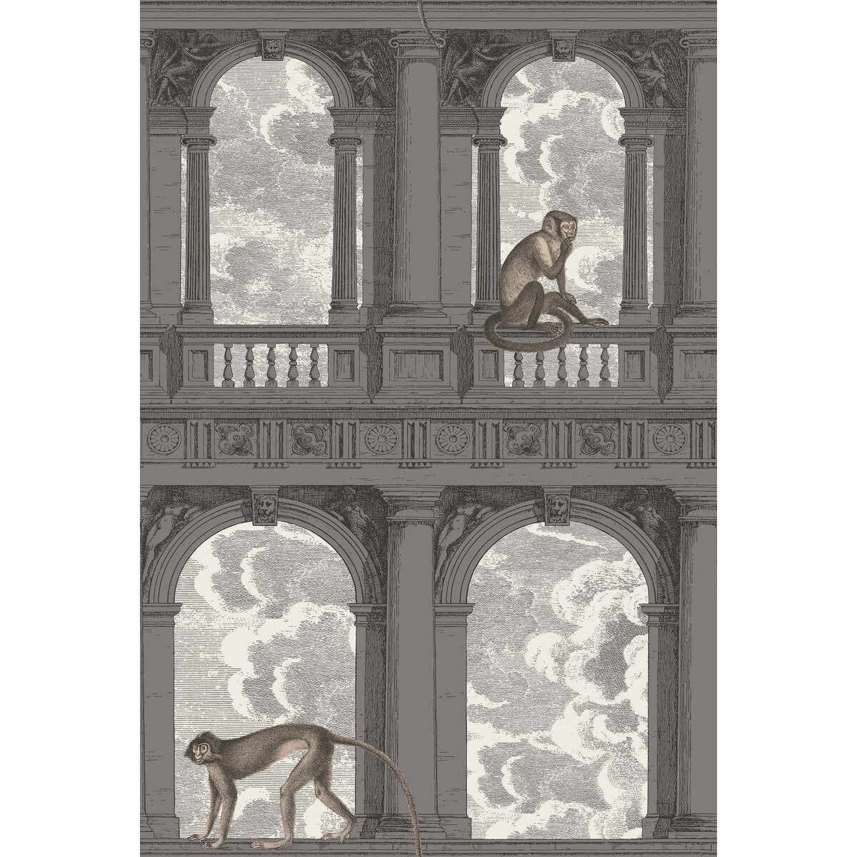 COLE & SON PROCURATIE CON VISTA SOOT & SNOW