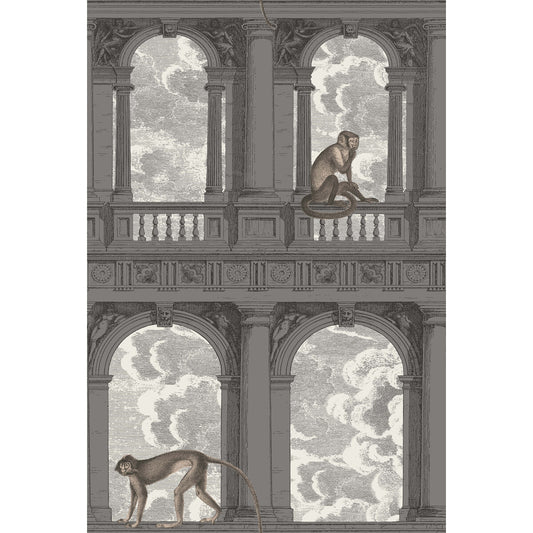 COLE & SON PROCURATIE CON VISTA SOOT & SNOW