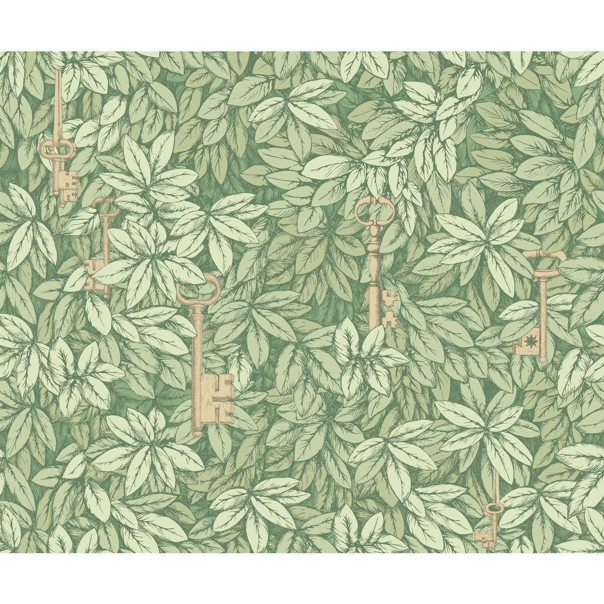 COLE & SON CHIAVI SEGRETE OLIVE