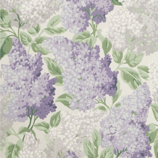 COLE & SON LILAC LILAC/DOVE/WHITE