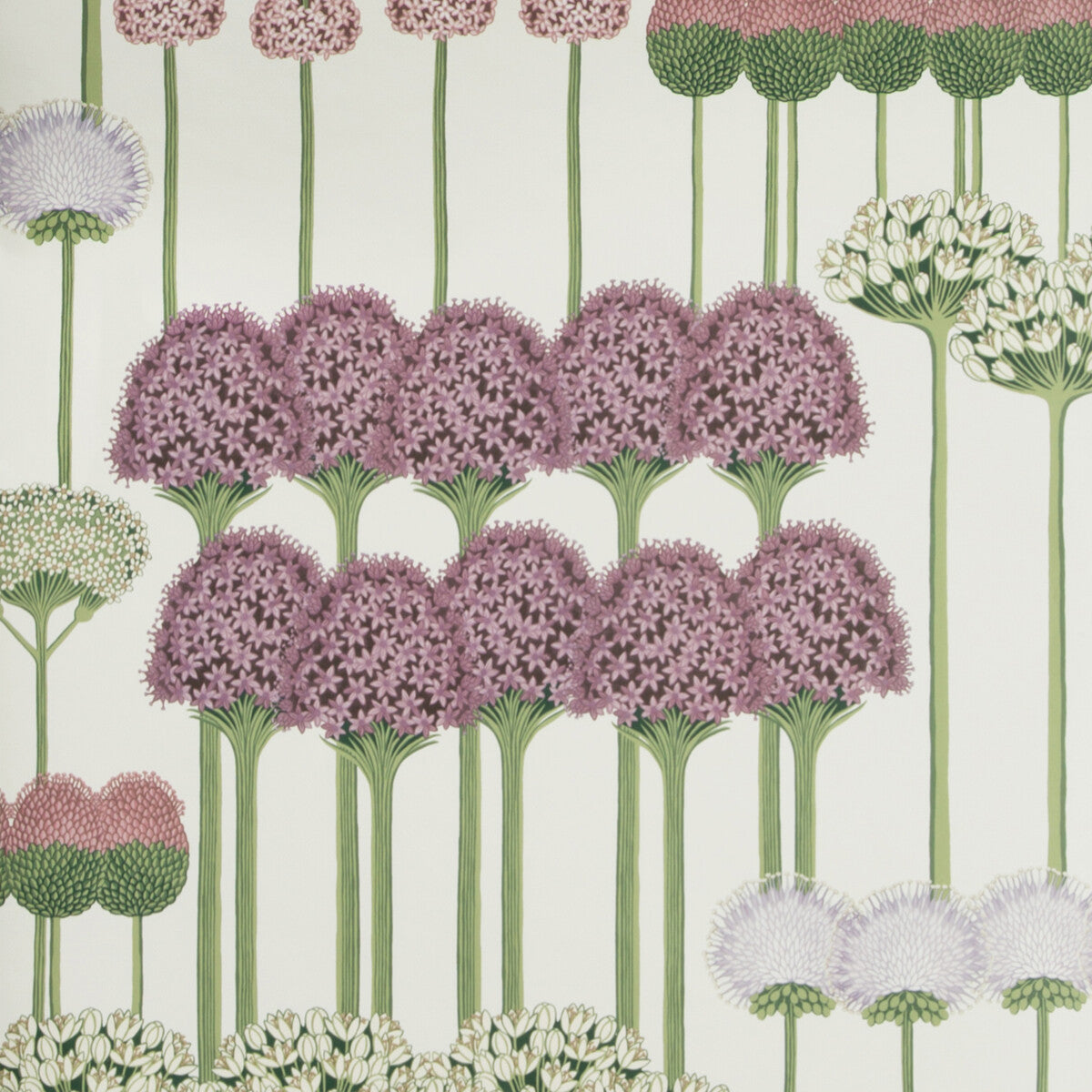 COLE & SON ALLIUM MULB/BLUSH/LILAC/WH