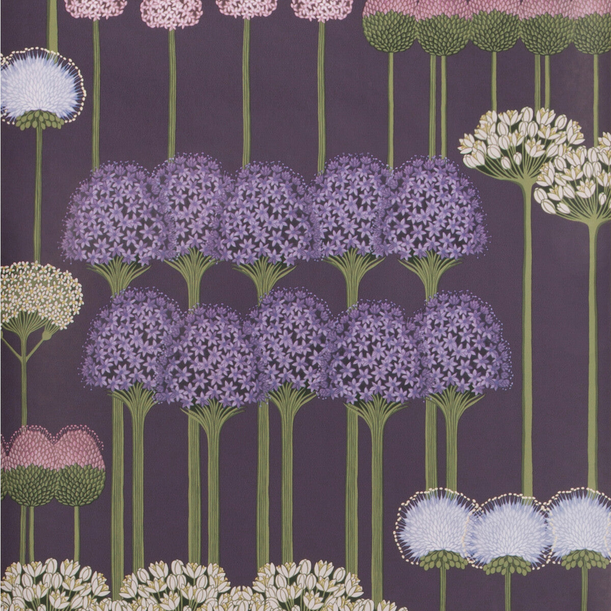 COLE & SON ALLIUM MULB/HEATHER/VIOLET