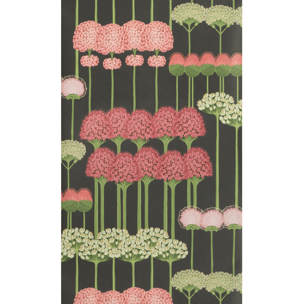 COLE & SON ALLIUM CORAL/L GREEN/CHAR