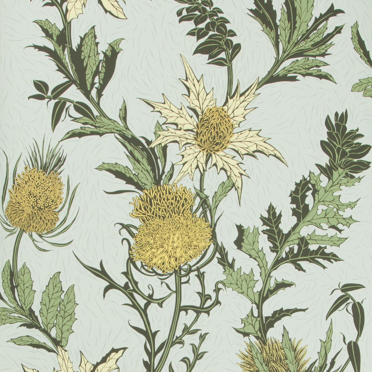 COLE & SON THISTLE LEMON/OLIVE/D EGG