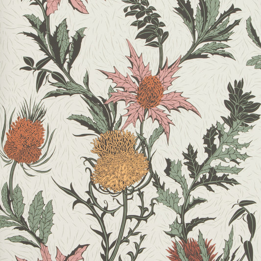 COLE & SON THISTLE A PINK/ORANGE/PARCH