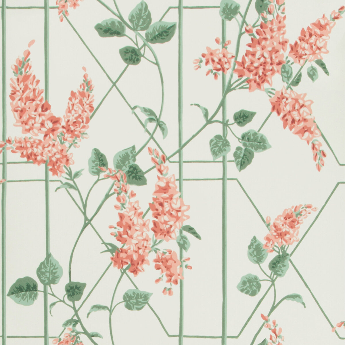 COLE & SON WISTERIA CORAL/SAGE/PARCH