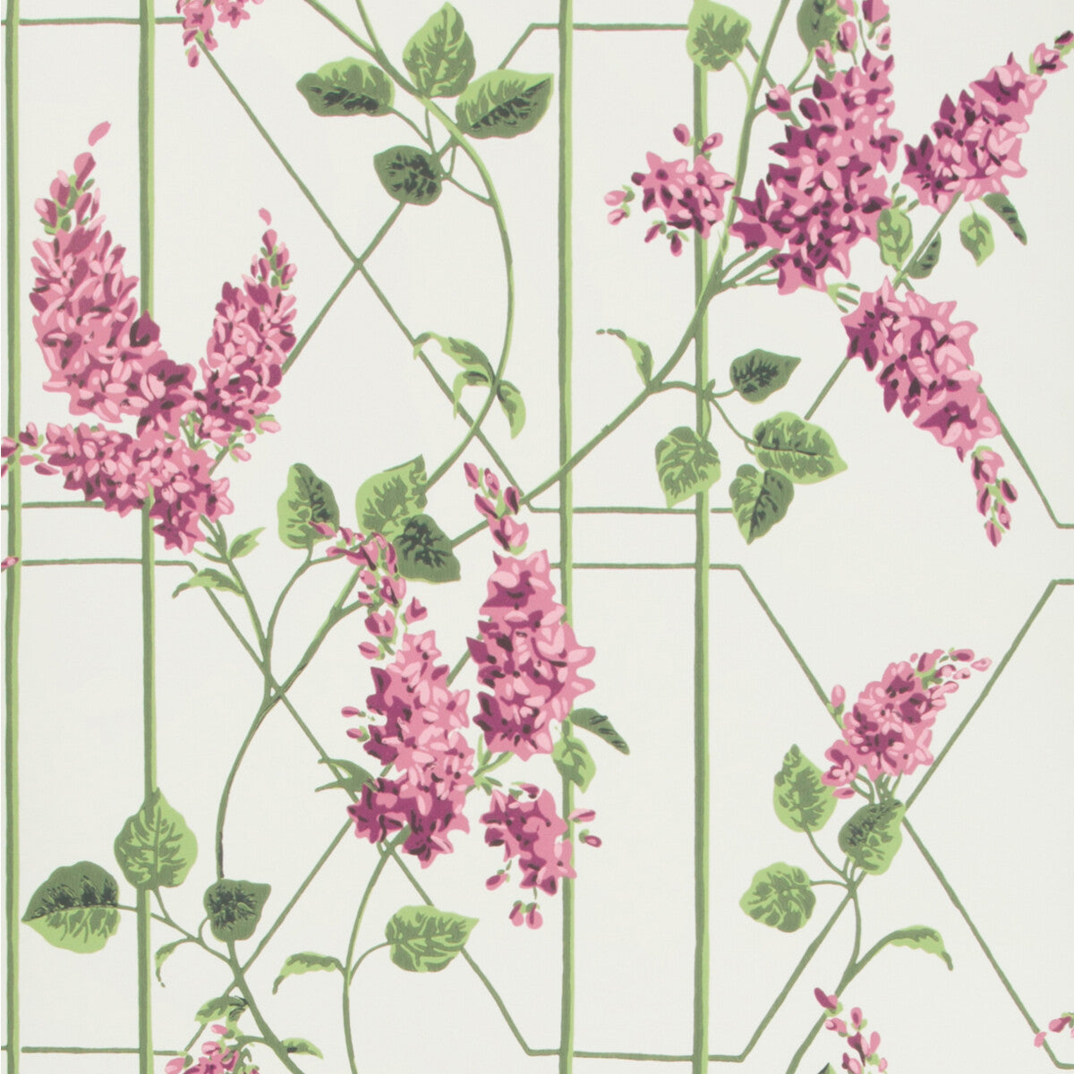 COLE & SON WISTERIA MAGENTA/GREEN/WH