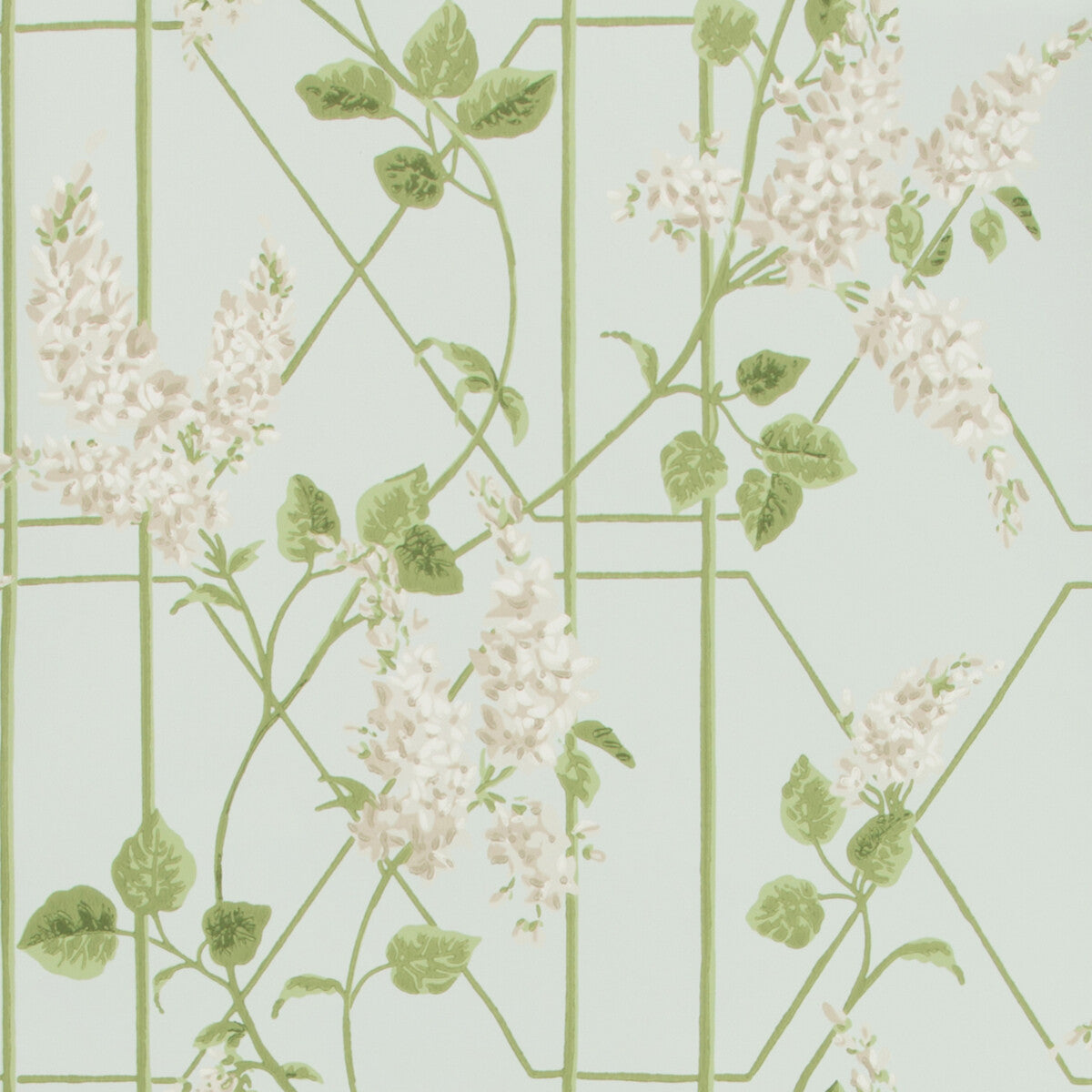 COLE & SON WISTERIA STONE/OLIVE/D EGG