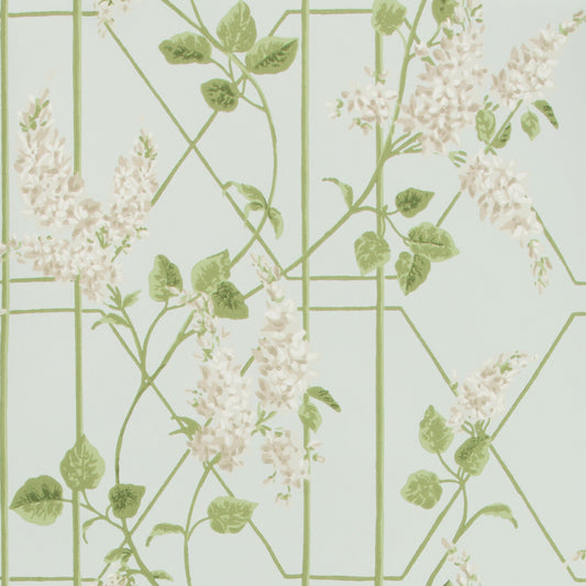 COLE & SON WISTERIA STONE/OLIVE/D EGG