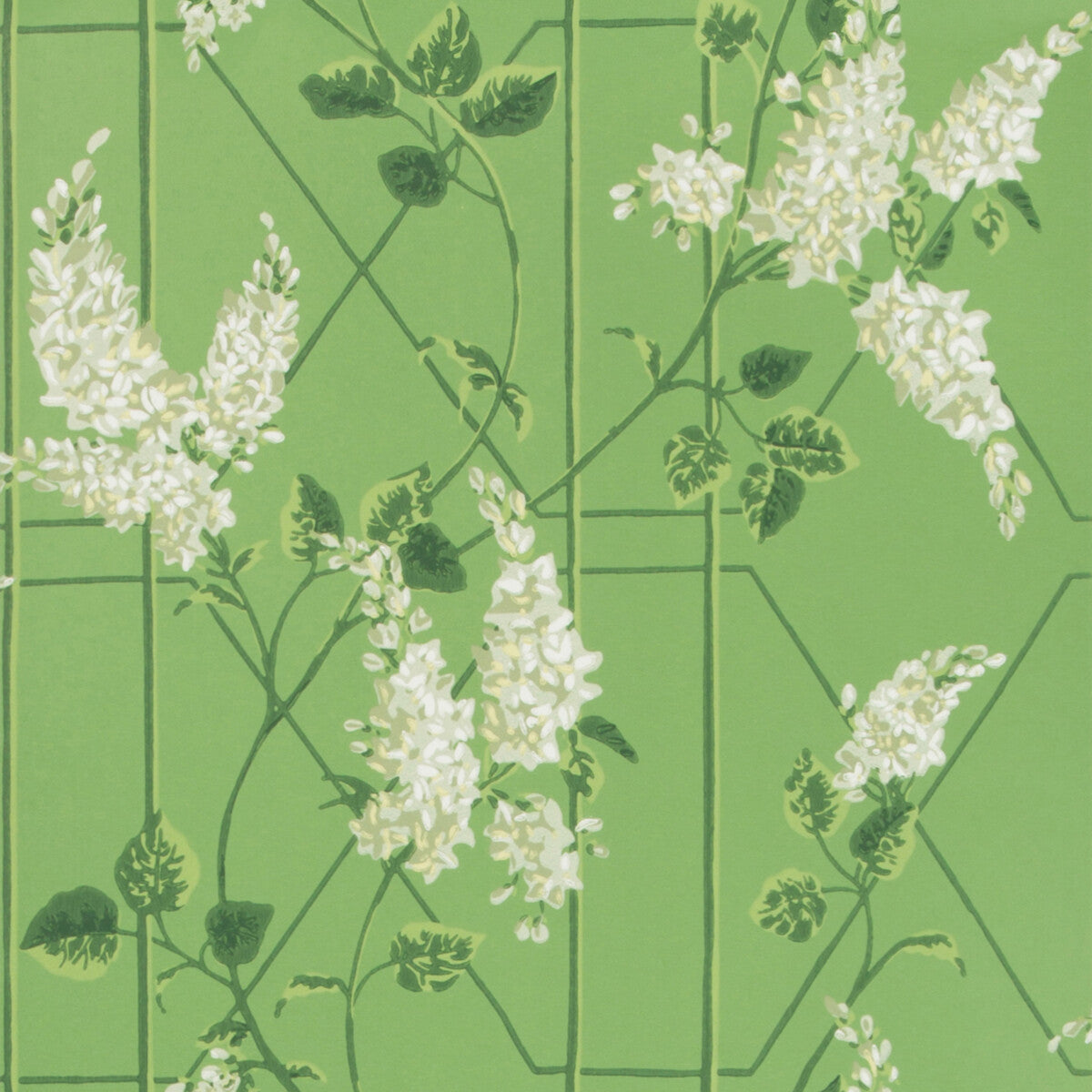 COLE & SON WISTERIA SAGE/LEAF GREEN