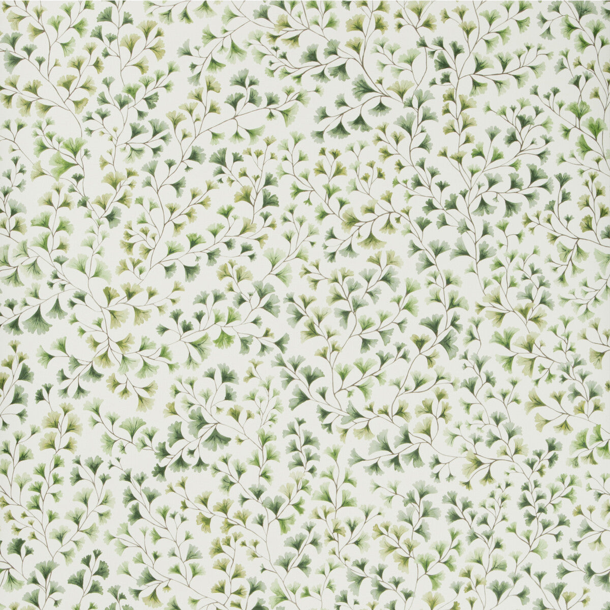 COLE & SON MAIDENHAIR OLIVE