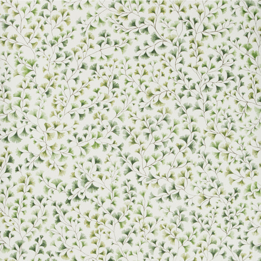 COLE & SON MAIDENHAIR OLIVE