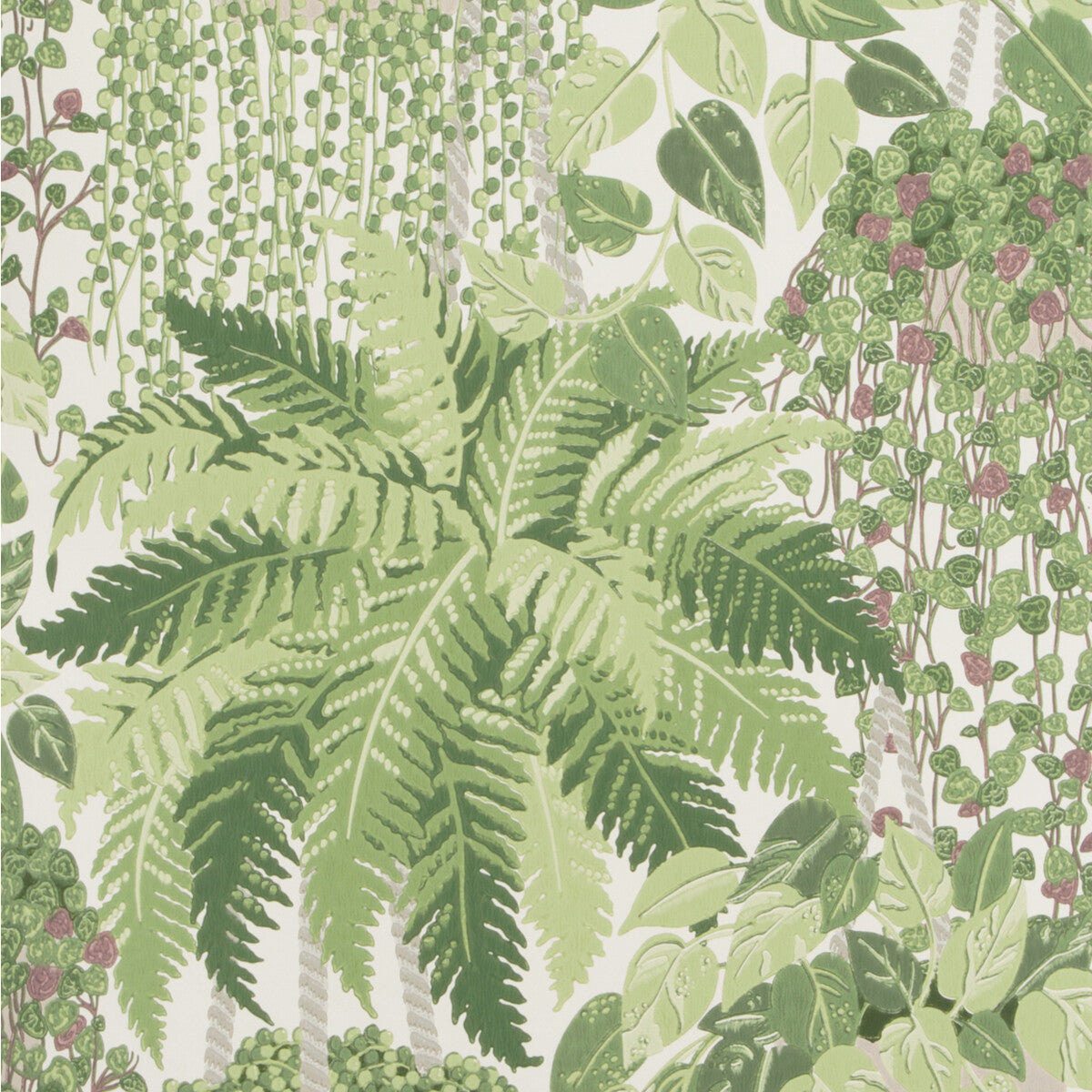 COLE & SON FERN LEAF GREEN AND OLIVE