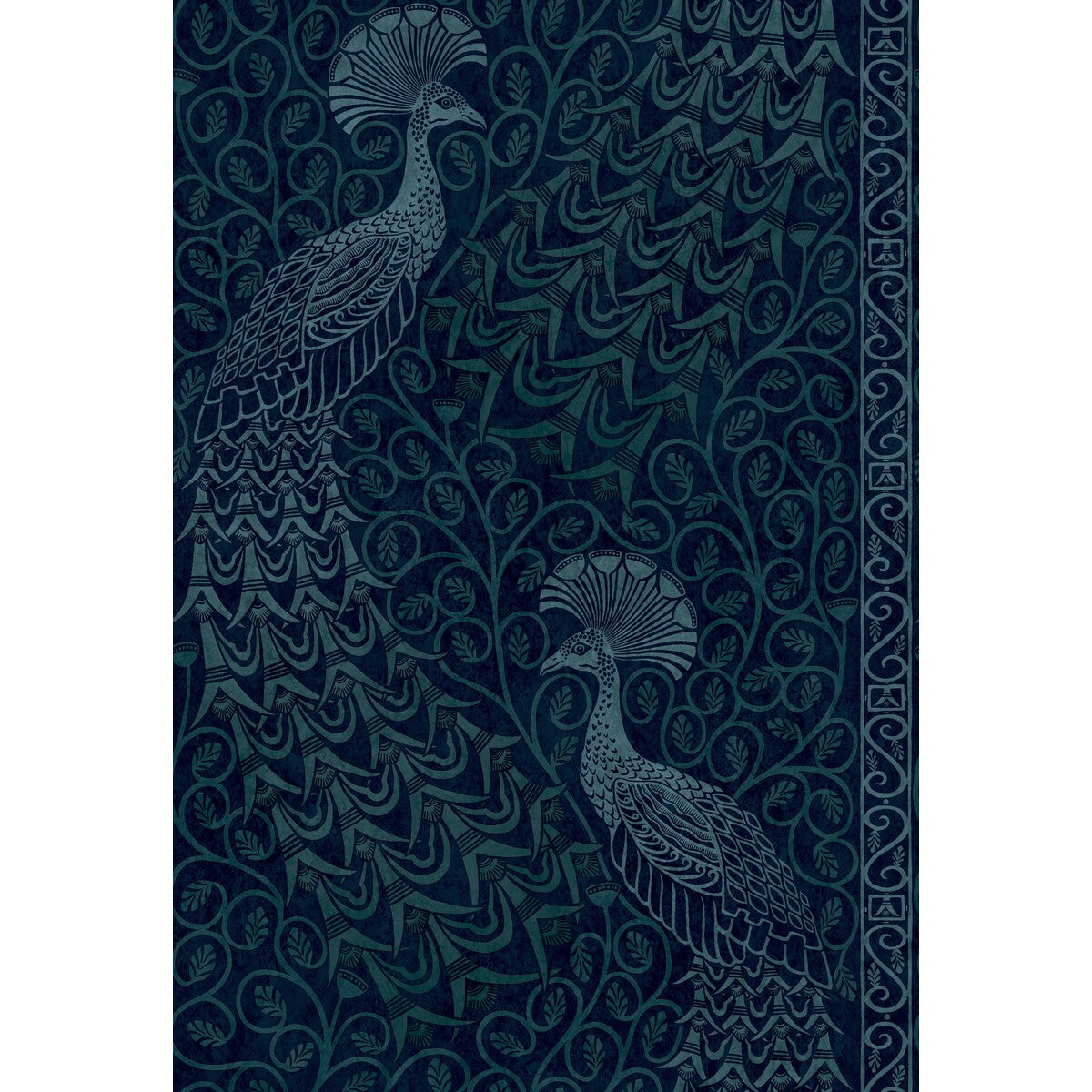 COLE & SON PAVO PARADE M PETROL/INK