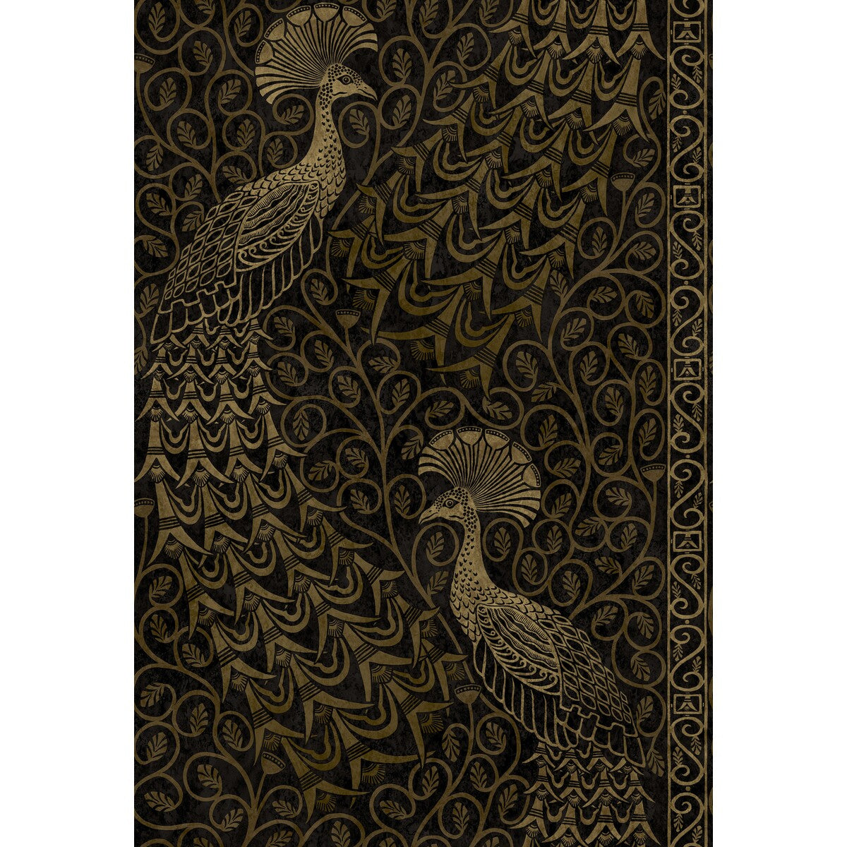 COLE & SON PAVO PARADE M GOLD/SOOT