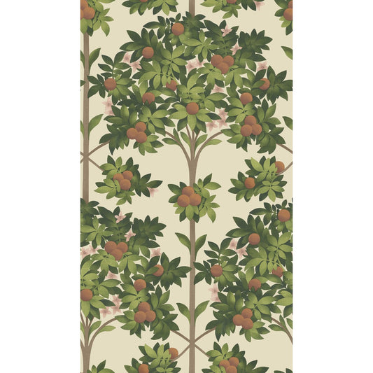COLE & SON ORANGE BLOSSOM ORANGE & SPRING GREEN/PARCH