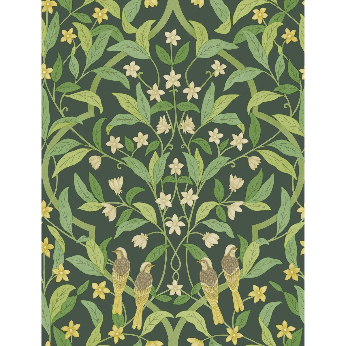 COLE & SON JASMINE & SERIN SYMPHONY YELLOW/GRN/FOREST