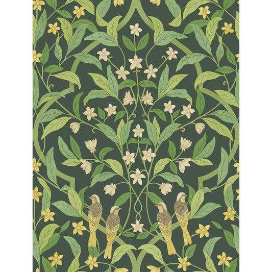 COLE & SON JASMINE & SERIN SYMPHONY YELLOW/GRN/FOREST