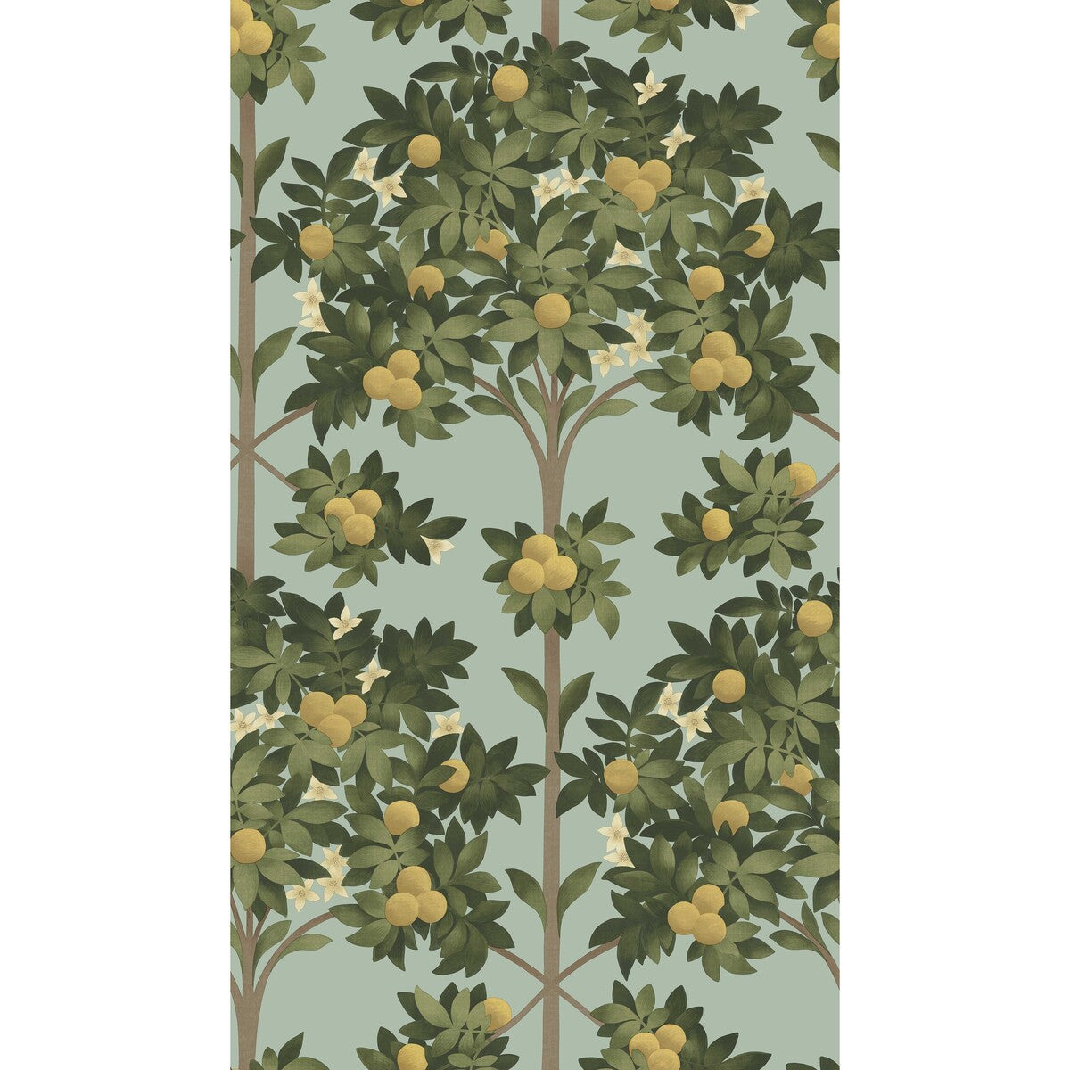 COLE & SON ORANGE BLOSSOM LEMON/DK OLIVE GRN/DUCK EGG