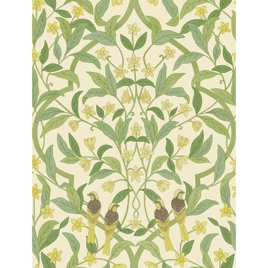 COLE & SON JASMINE & SERIN SYMPHONY CHARTREUSE/GRN/WT