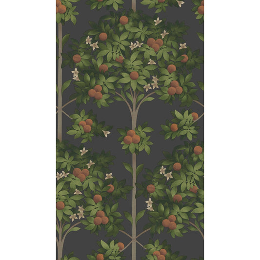 COLE & SON ORANGE BLOSSOM ORANGE & SPRING GREEN/BLACK
