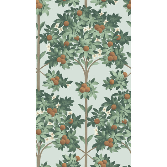 COLE & SON ORANGE BLOSSOM BURNT ORANGE/MINT/SEAFOAM