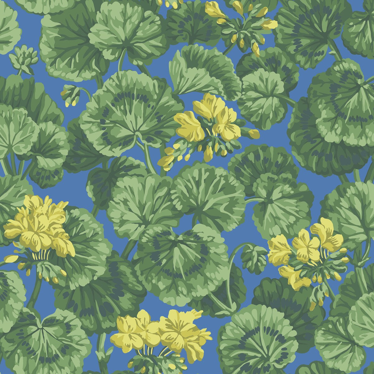 COLE & SON GERANIUM LEMON/FOREST GREEN/ELECTRIC BLUE