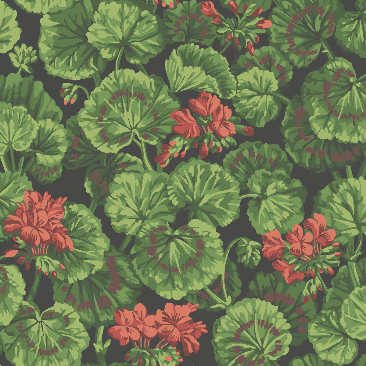COLE & SON GERANIUM ROUGE & LEAF GREENS ON BLACK