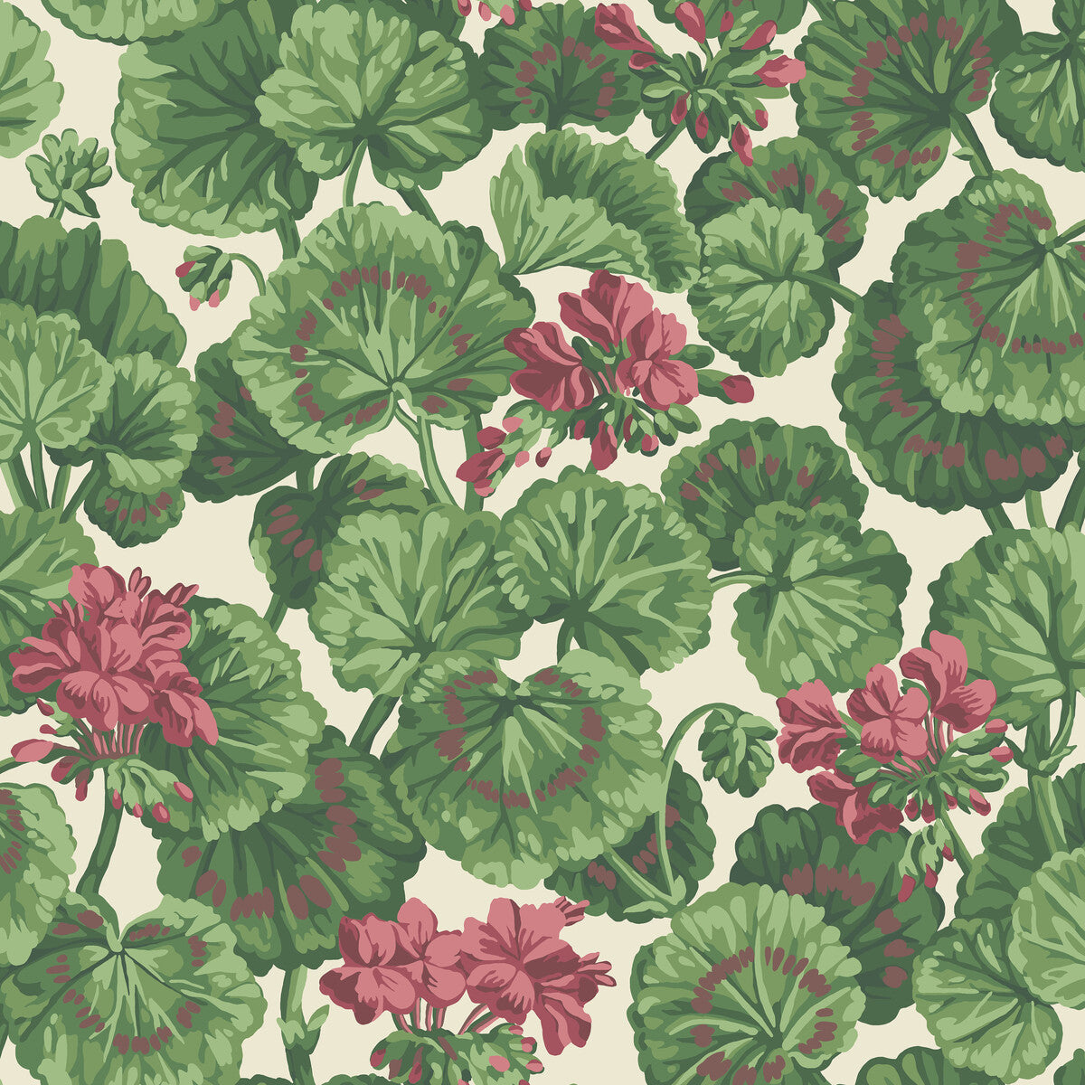 COLE & SON GERANIUM ROSE/FOREST GRN ON PARCHMENT