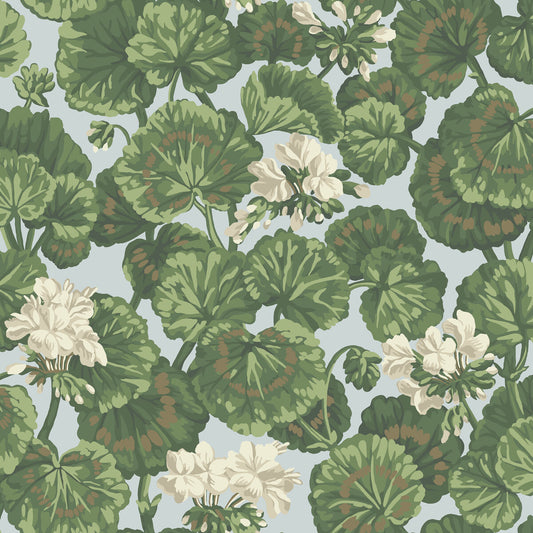 COLE & SON GERANIUM WHITE & SAGE ON SEAFOAM
