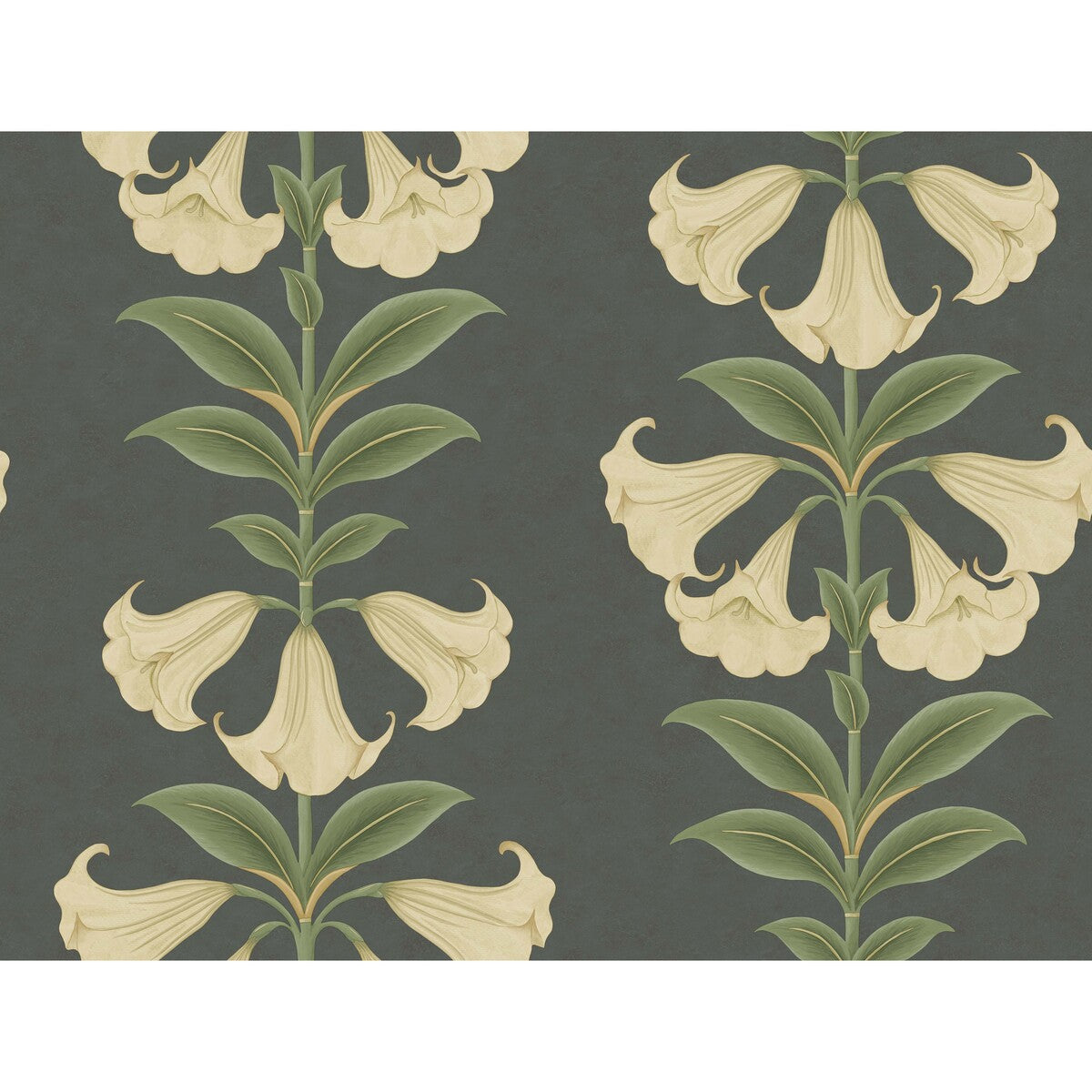 COLE & SON ANGELS TRUMPET CREAM/OLIVE GREEN/CHARCOAL