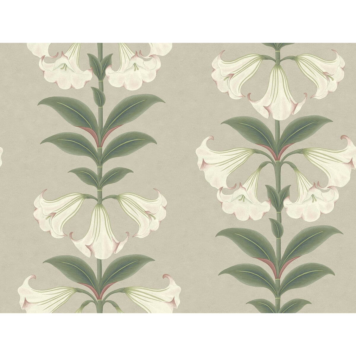 COLE & SON ANGELS TRUMPET CHALK & SAGE ON STONE