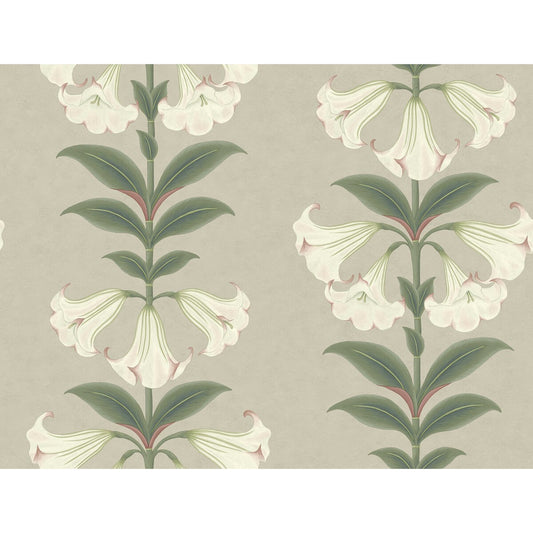 COLE & SON ANGELS TRUMPET CHALK & SAGE ON STONE