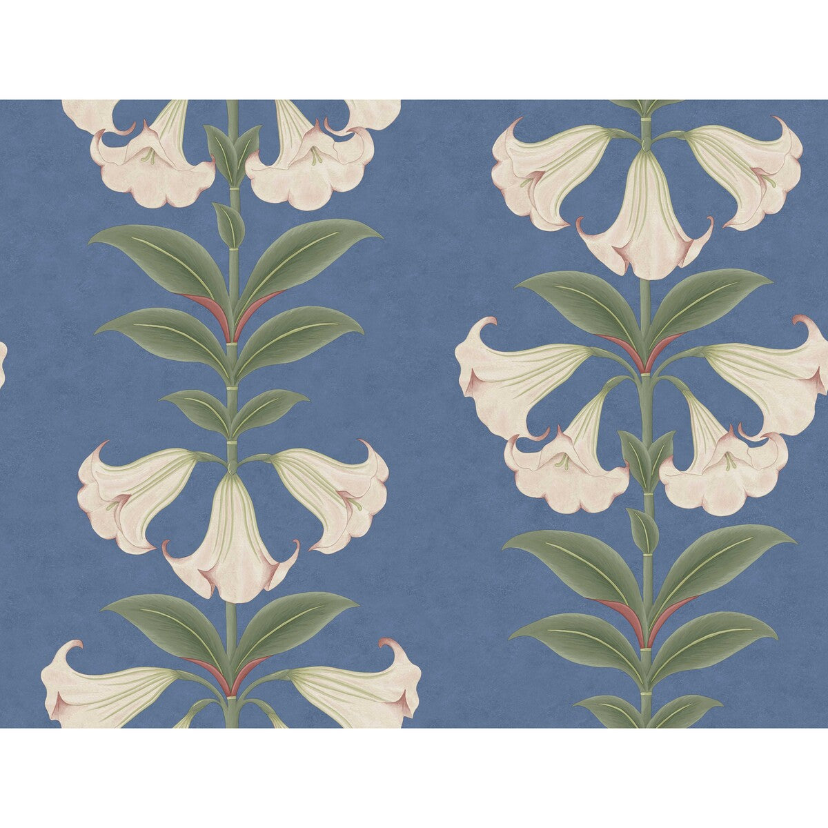 COLE & SON ANGELS TRUMPET BALLET SLIPPER/SAGE/C SKY