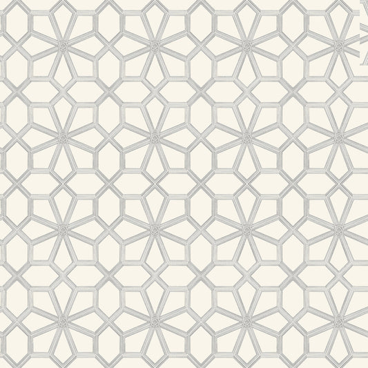 COLE & SON WOLSEY STARS SOOT ON SNOW