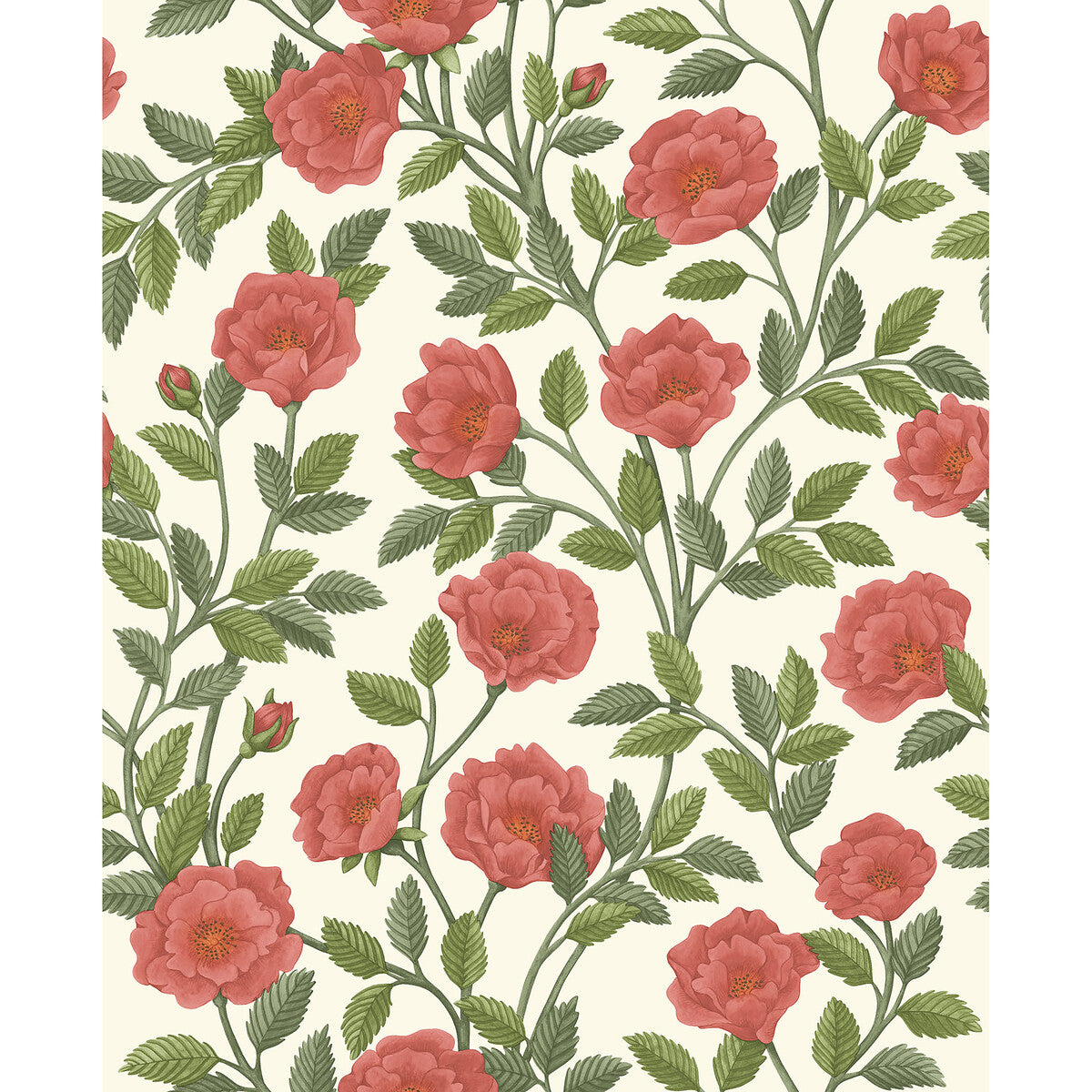 COLE & SON HAMPTON ROSES R&SGRN/PMNT