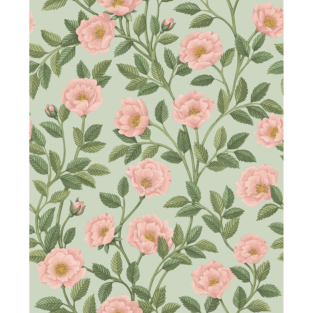 COLE & SON HAMPTON ROSES R&LGRN/DEGG